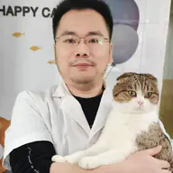 DBS 的头像