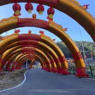 Lansoov 的头像